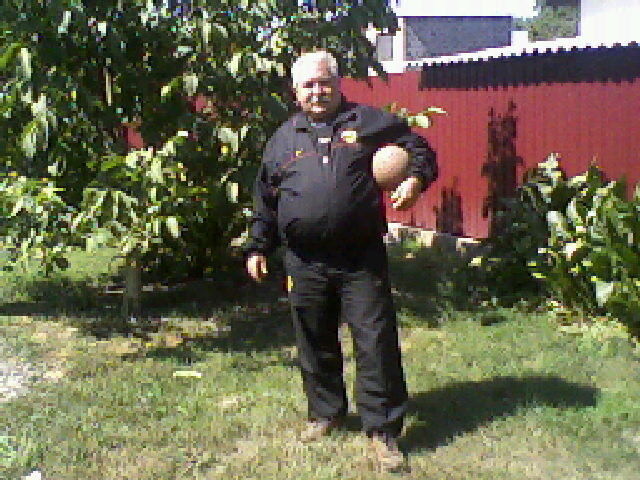  ,   , 65 ,   
