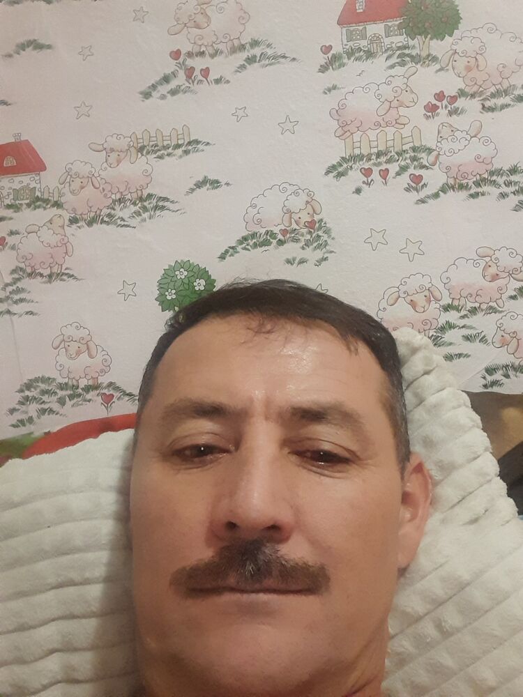  51442212  , 50 ,    