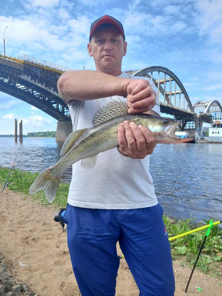 ���� 39343762 ������� Dmitry, 41 ���, ���� ���������� � �������