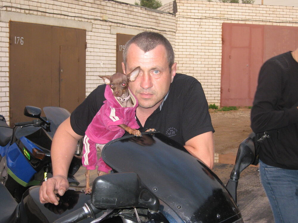 ���������� ����, ���� ������� ������, 50 ���, ������������ ��� ������, ����� � ���������