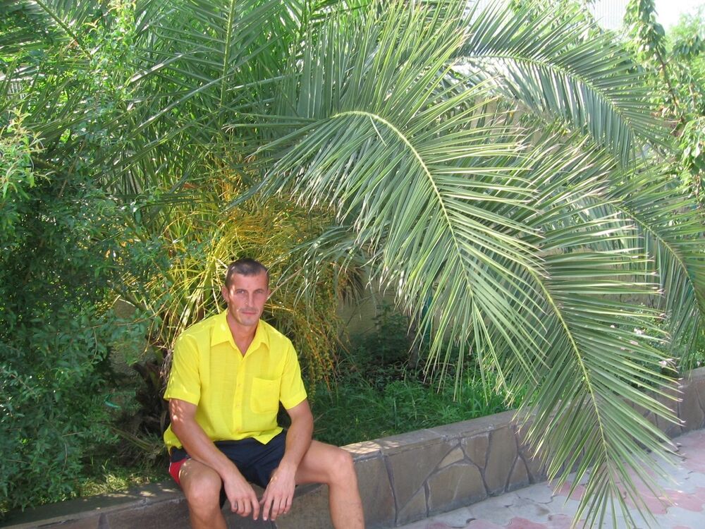 ���� 8125102 ������� ����, 51 ���, ���� ���������� � �������