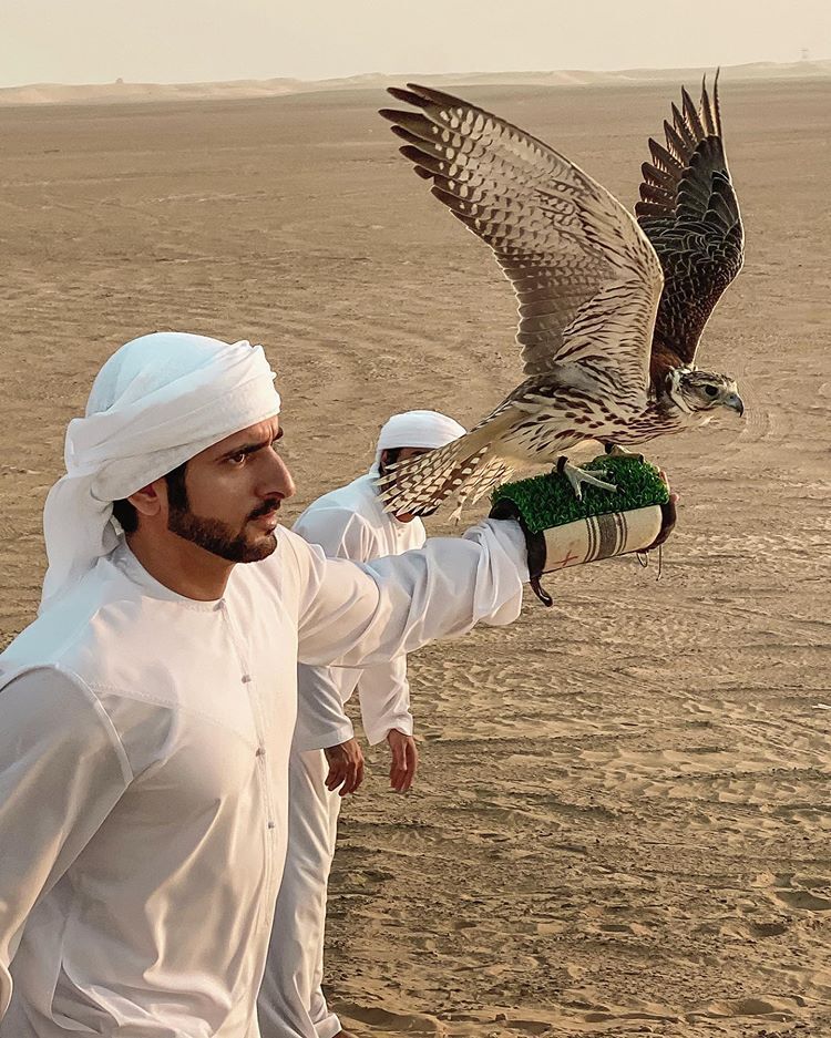 ���� 31022762 ������� �����, 32 ����, ���� ���������� � ������