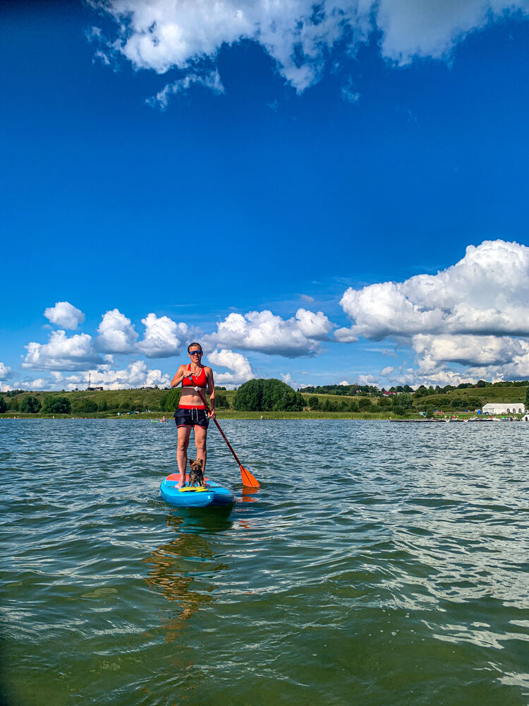 ���������� ������, ���� ������� �����, 41 ���, ������������ ��� ������, ����� � ���������, c�������� ���������, ���������