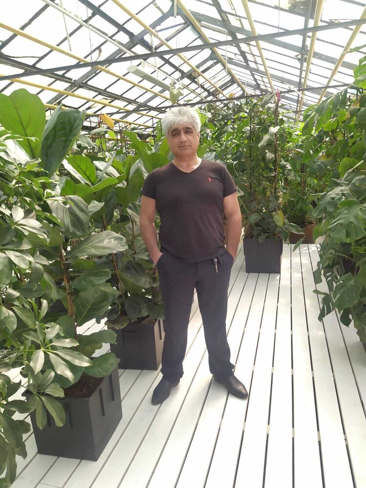 ���������� ������, ���� ������� ������, 56 ���, ������������ ��� ������, ����� � ���������