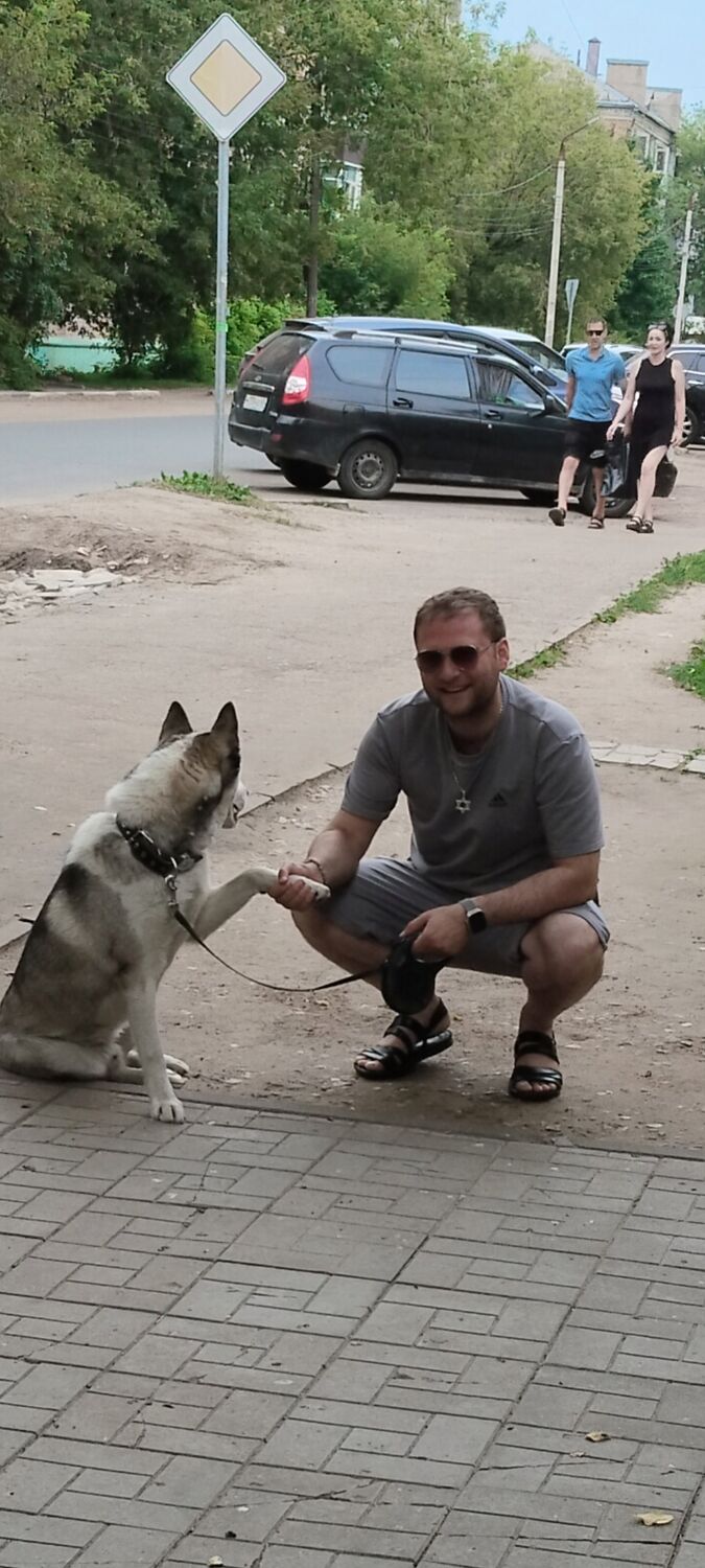 ���� 45285592 ������� ������, 35 ���, ���� ���������� � ����