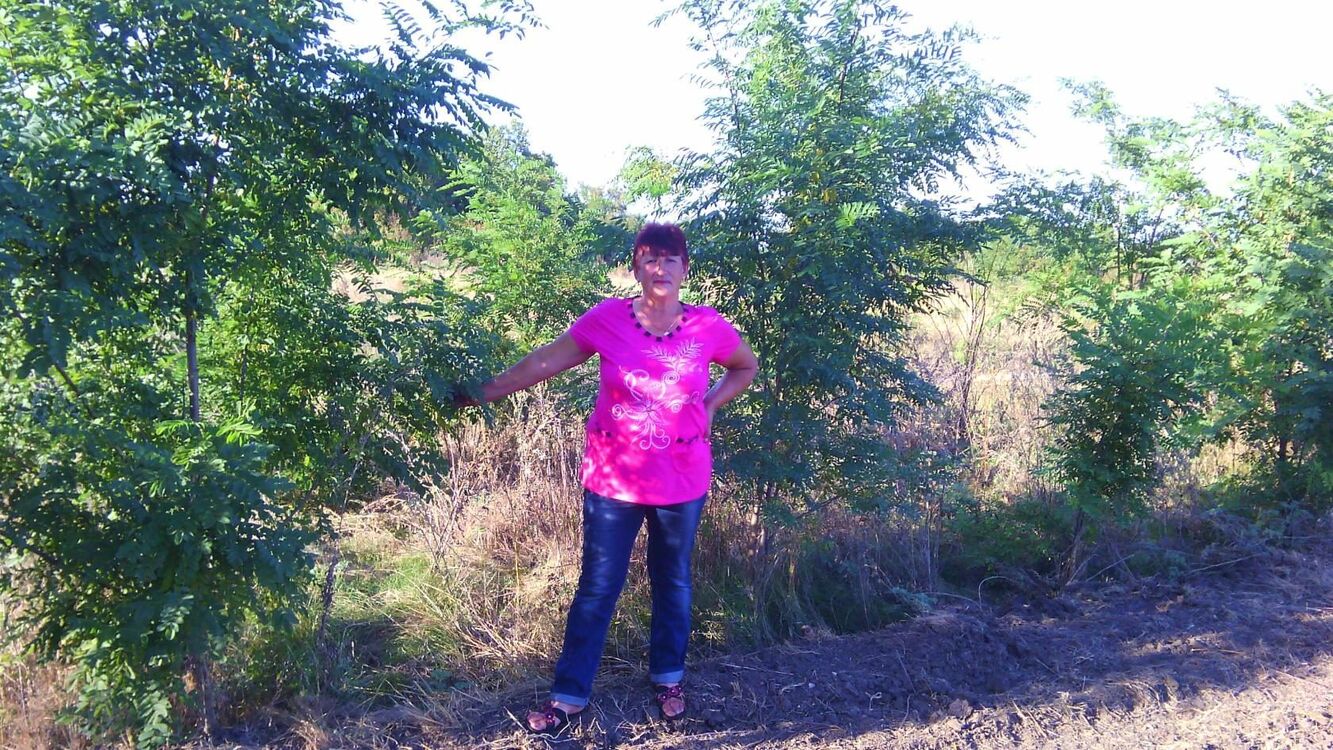 ���������� �������, ���� ������� ����, 61 ���, ������������ ��� ����� � ���������, ���������