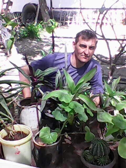  ,   , 46 ,   ,   