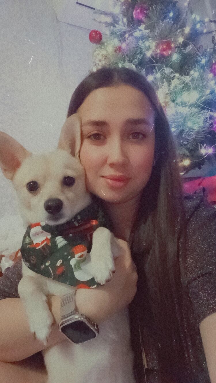 ���������� ���������, ���� ������� ����, 23 ����, ������������ ��� ����� � ���������, c�������� ���������, ���������