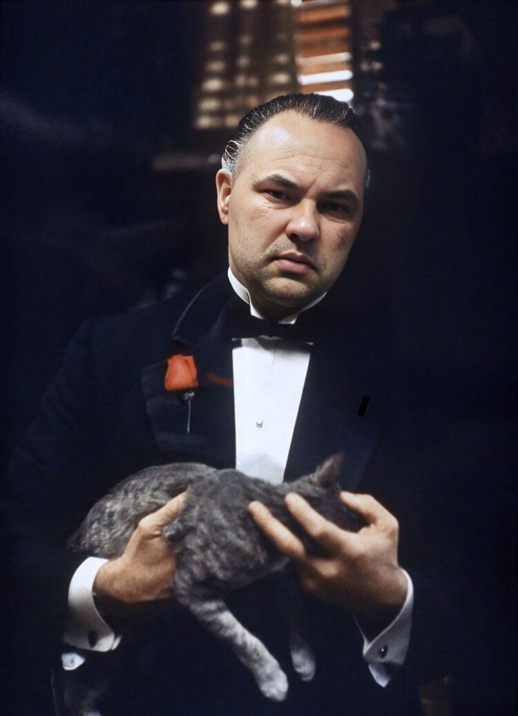 ���������� ����������, ���� ������� ������, 40 ���, ������������ ��� ������, ����� � ���������, c�������� ���������