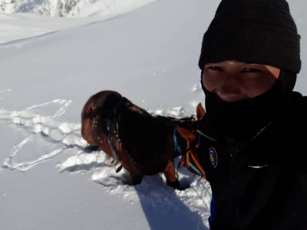 ���� 23067552 ������� ��������, 27 ���, ���� ���������� � �������