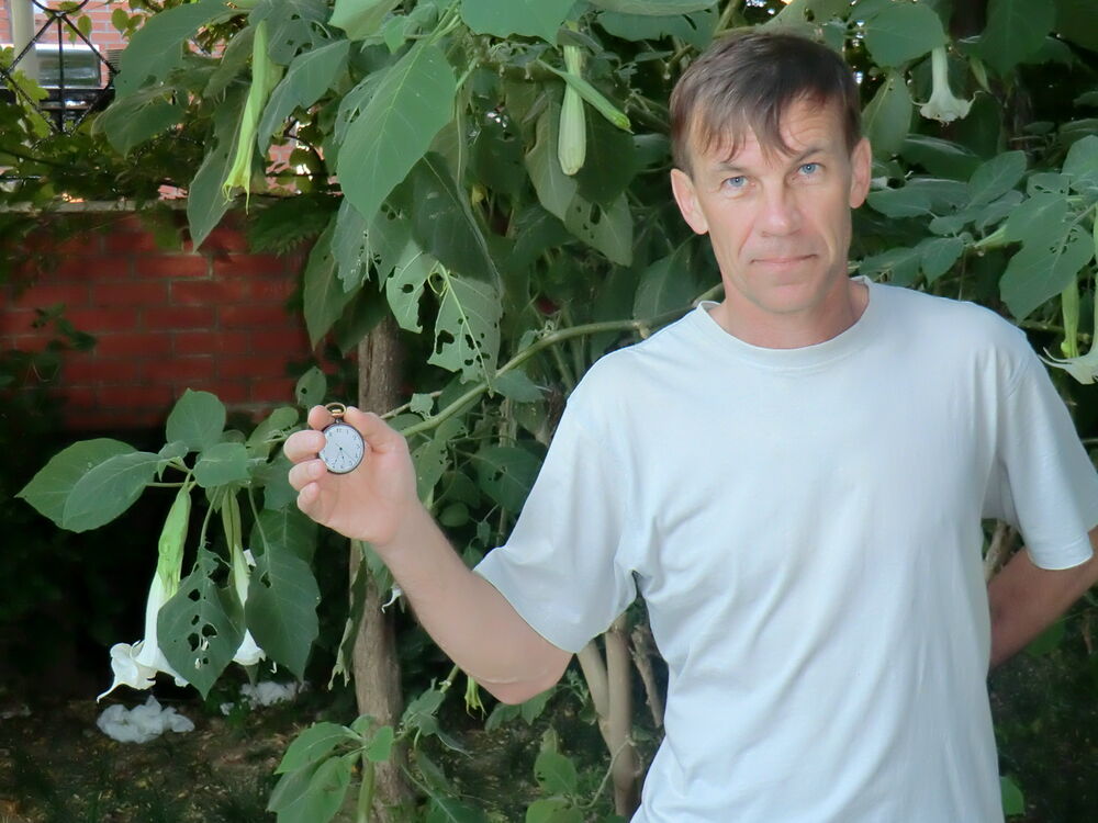 ���� 55973872 ������� �����, 56 ���, ���� ���������� � ����������