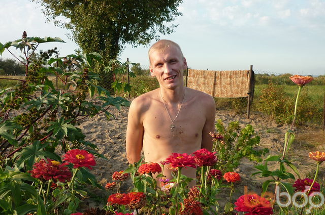 ���������� ���������, ���� ������� ����, 43 ����, ������������ ��� ����� � ���������, c�������� ���������