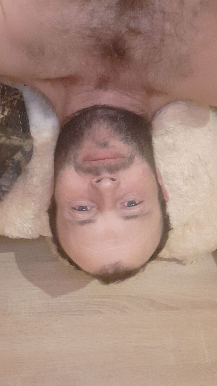  33293692  , 40 ,    