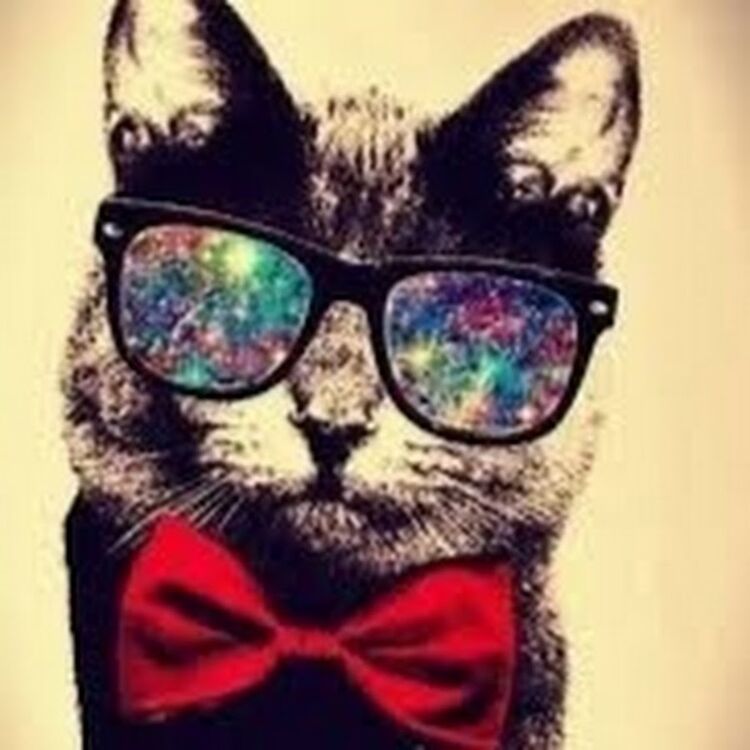 ���� 10568582 ������� ������, 37 ���, ���� ���������� � �����������