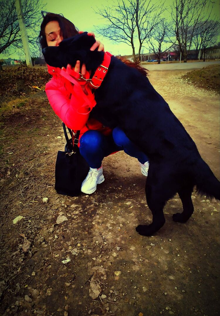 ���� 27231032 ������� Katy, 30 ���, ���� ���������� � ������