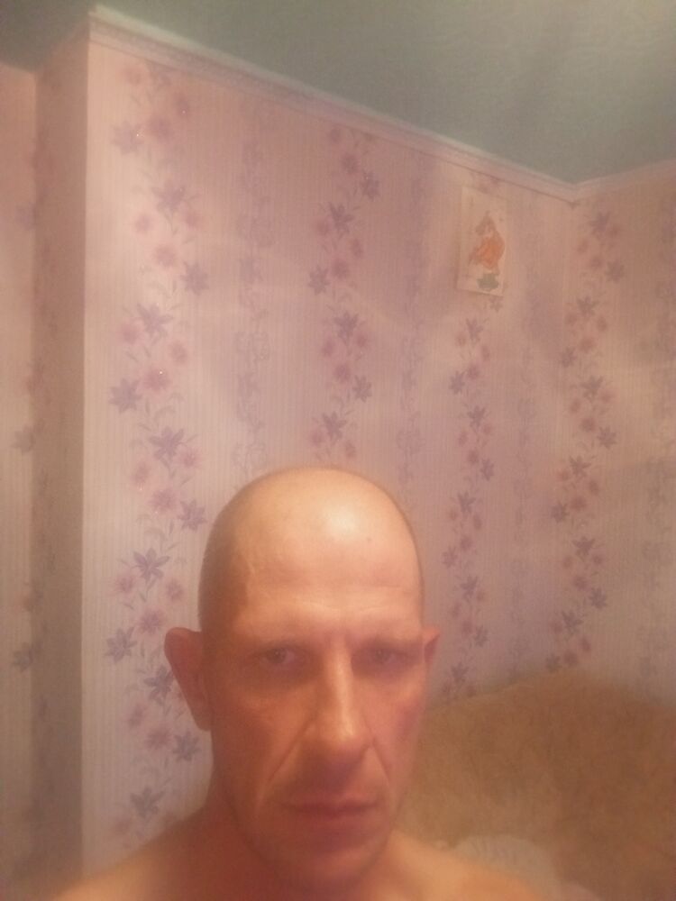  45490572  , 43 ,    