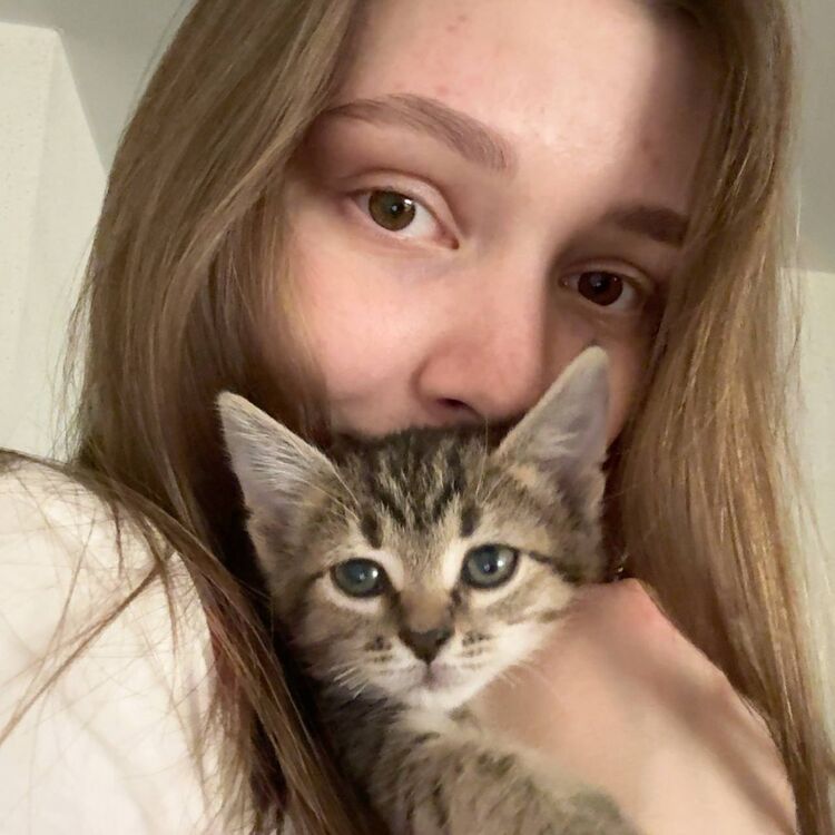 ���� 56278832 ������� �����, 23 ����, ���� ���������� � ����������