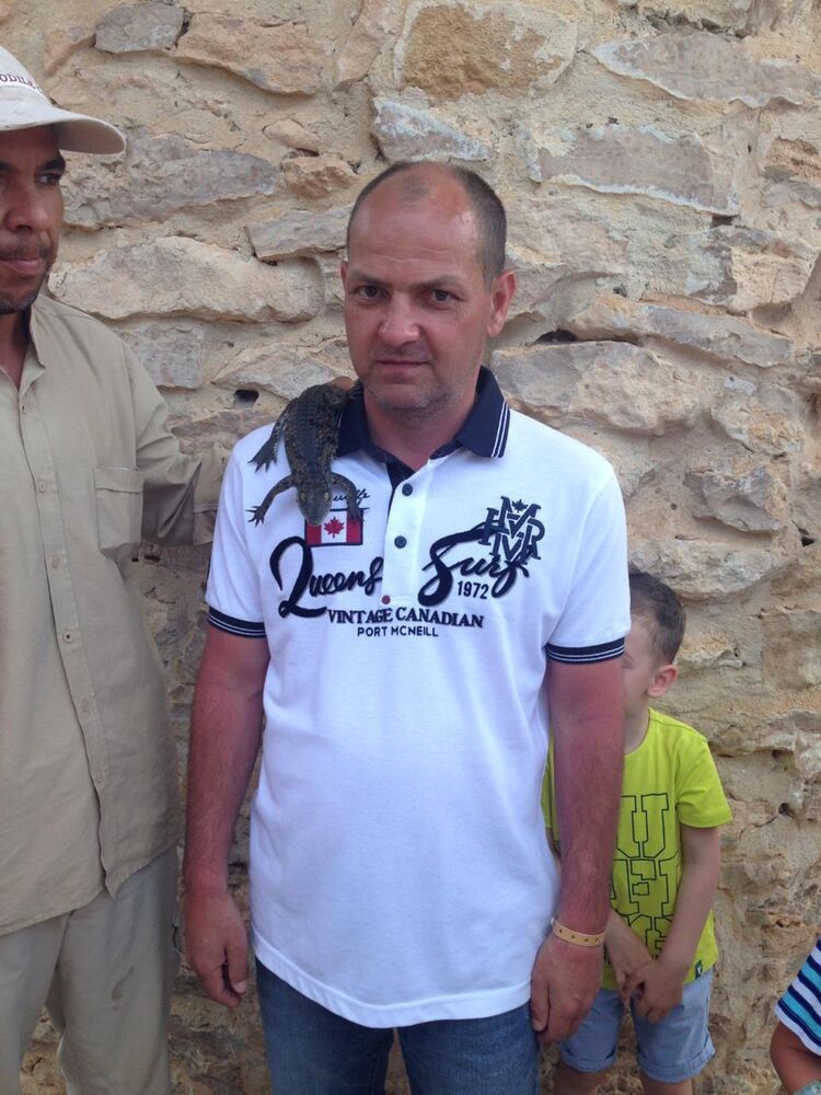 ���� 24468082 ������� ����, 50 ���, ���� ���������� � ������