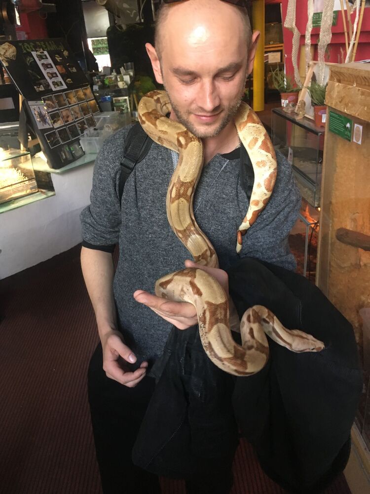 ���� 47193842 ������� ����, 41 ���, ���� ���������� � �����