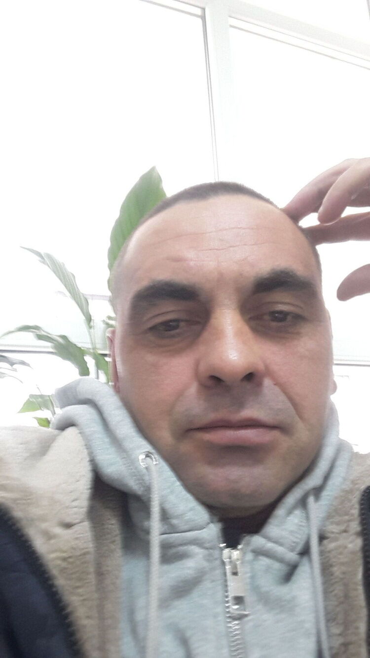  24867672  , 41 ,    