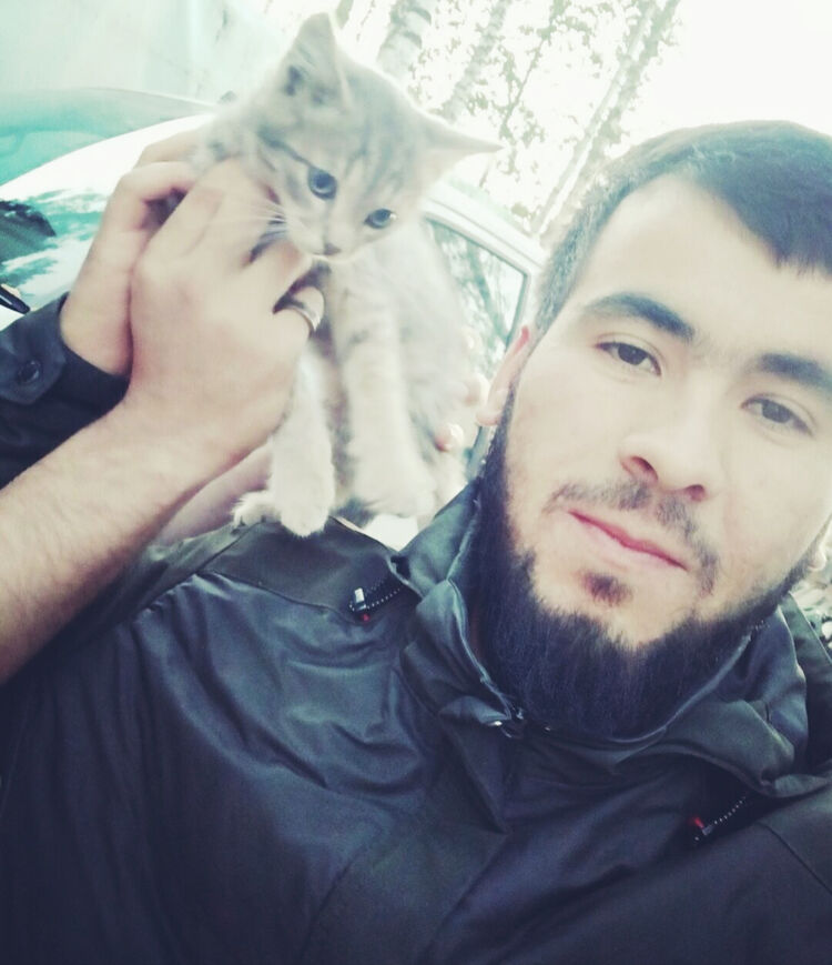 ���� 33734322 ������� �����, 26 ���, ���� ���������� � ������