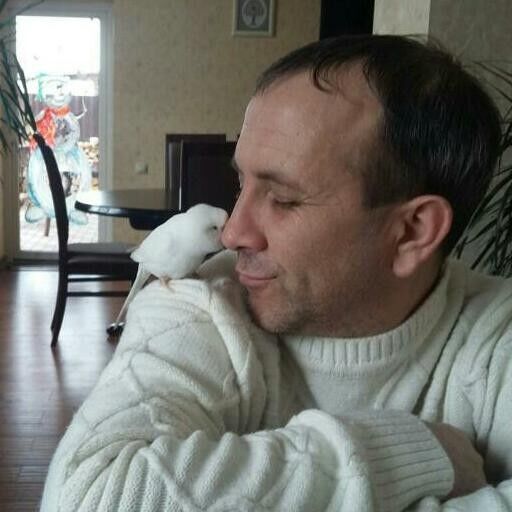 ���� 10868932 ������� ��������, 50 ���, ���� ���������� � �����������