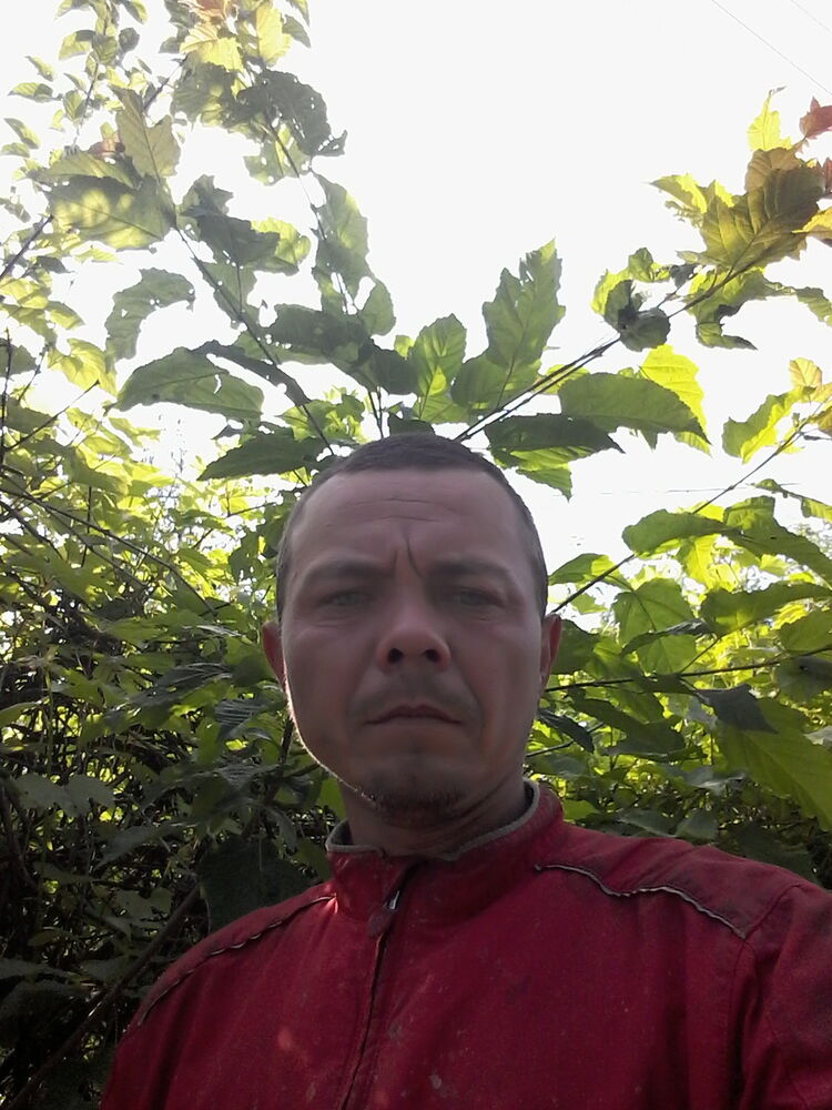  12389812  , 43 ,    
