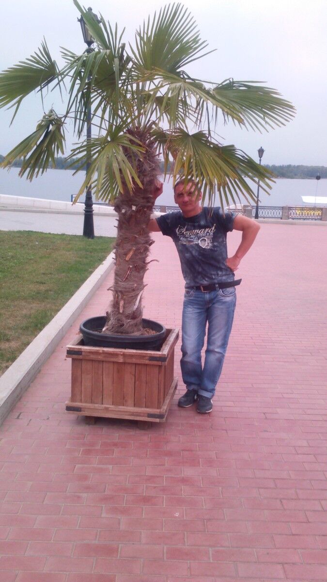 ���� 8223972 ������� ���������, 45 ���, ���� ���������� � ������