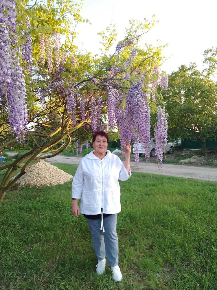 ���� 54243602 ������� �������, 69 ���, ���� ���������� � �������