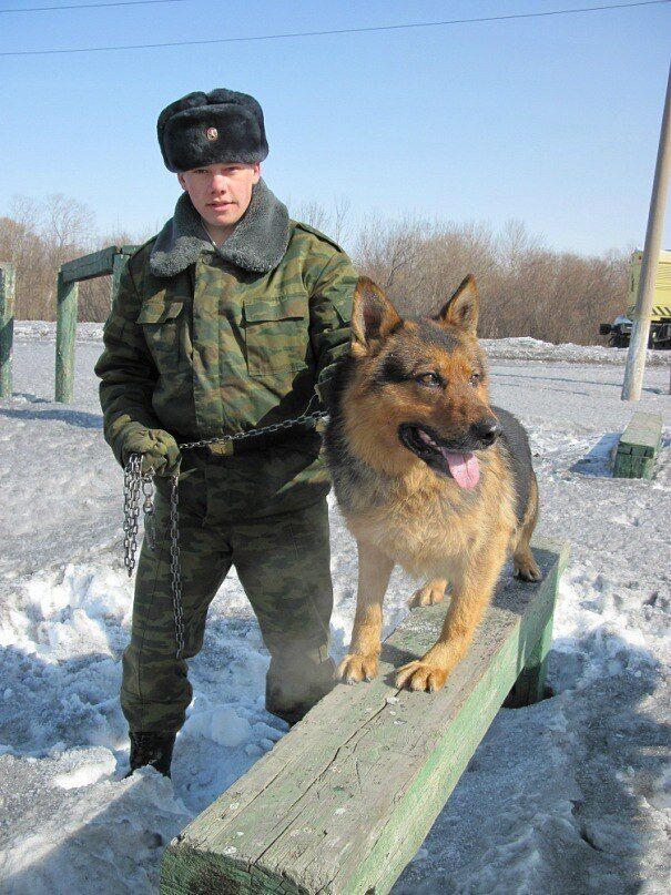 ���� 55558302 ������� ������, 37 ���, ���� ���������� � ������������