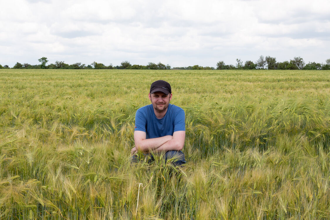 ���������� ������, ���� ������� ����, 41 ���, ������������ ��� ������, ����� � ���������, c�������� ���������