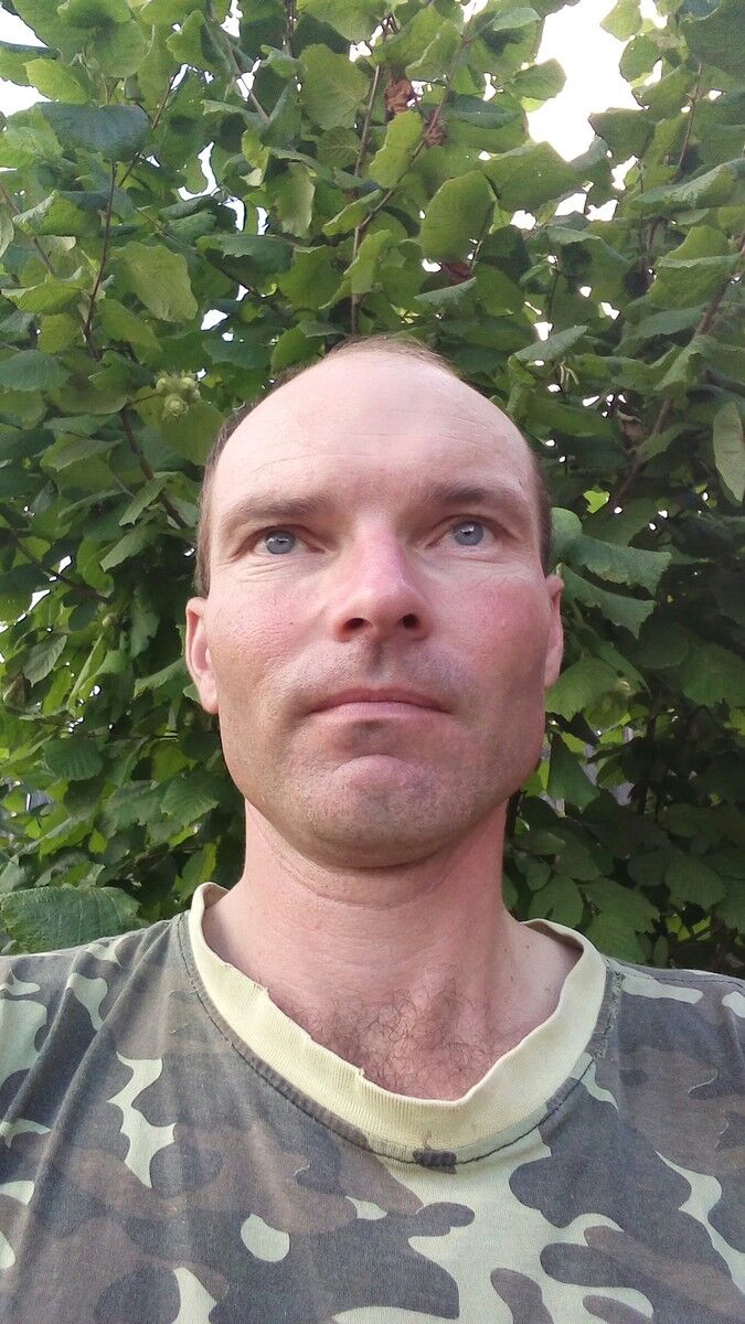 ���� 12168942 ������� ��������, 50 ���, ���� ���������� � �����