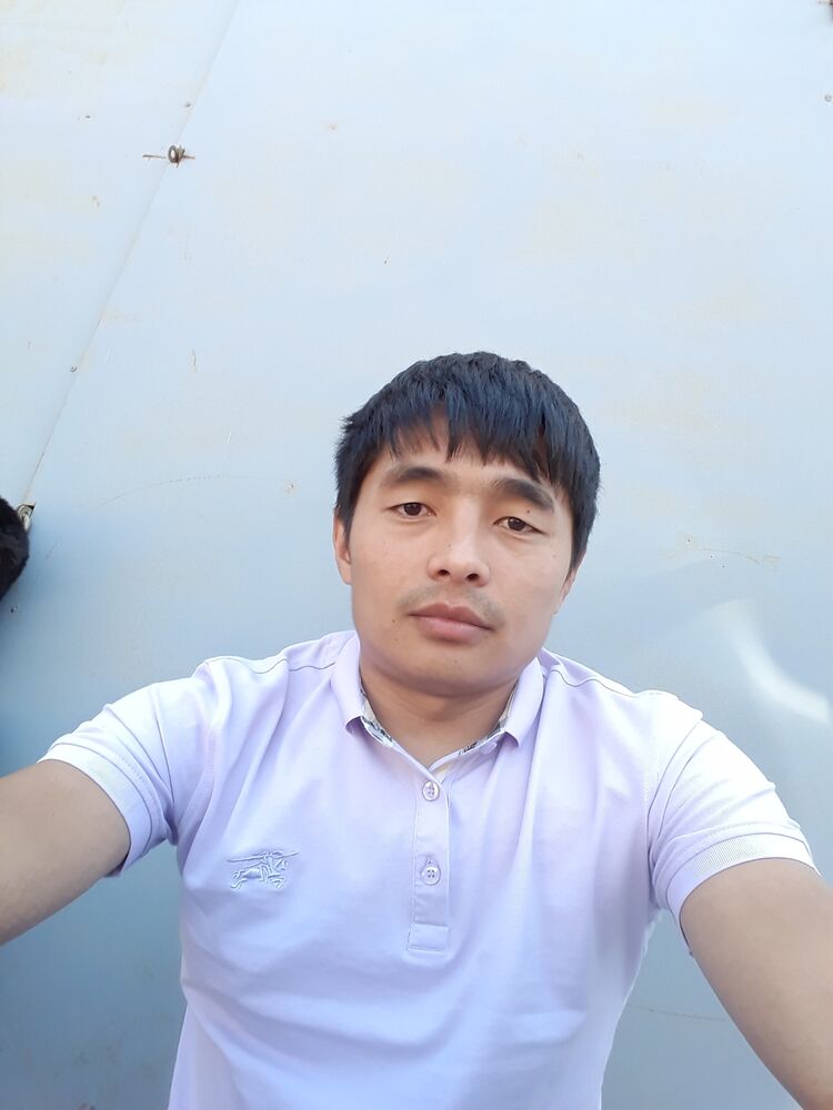  24647272  , 31 ,    