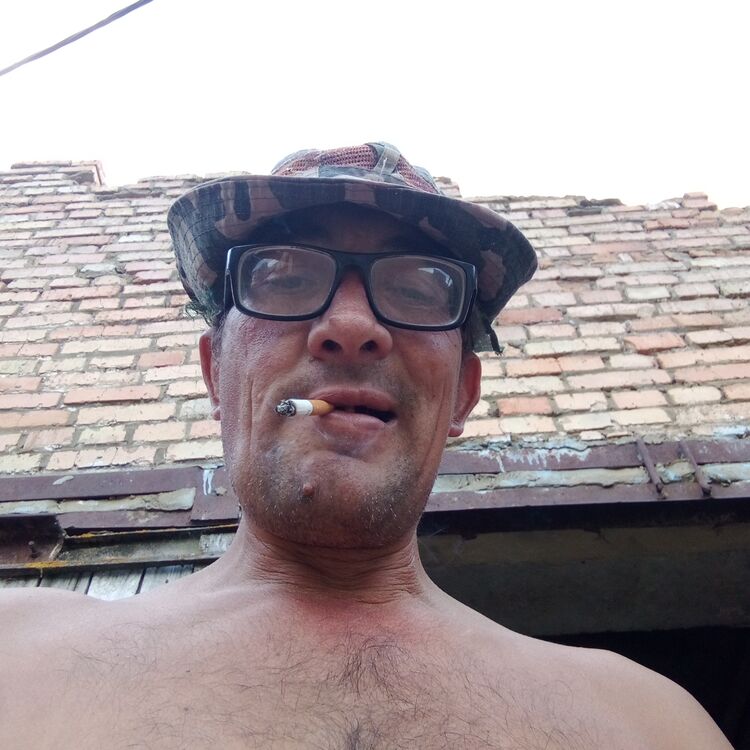  45303972  , 49 ,    