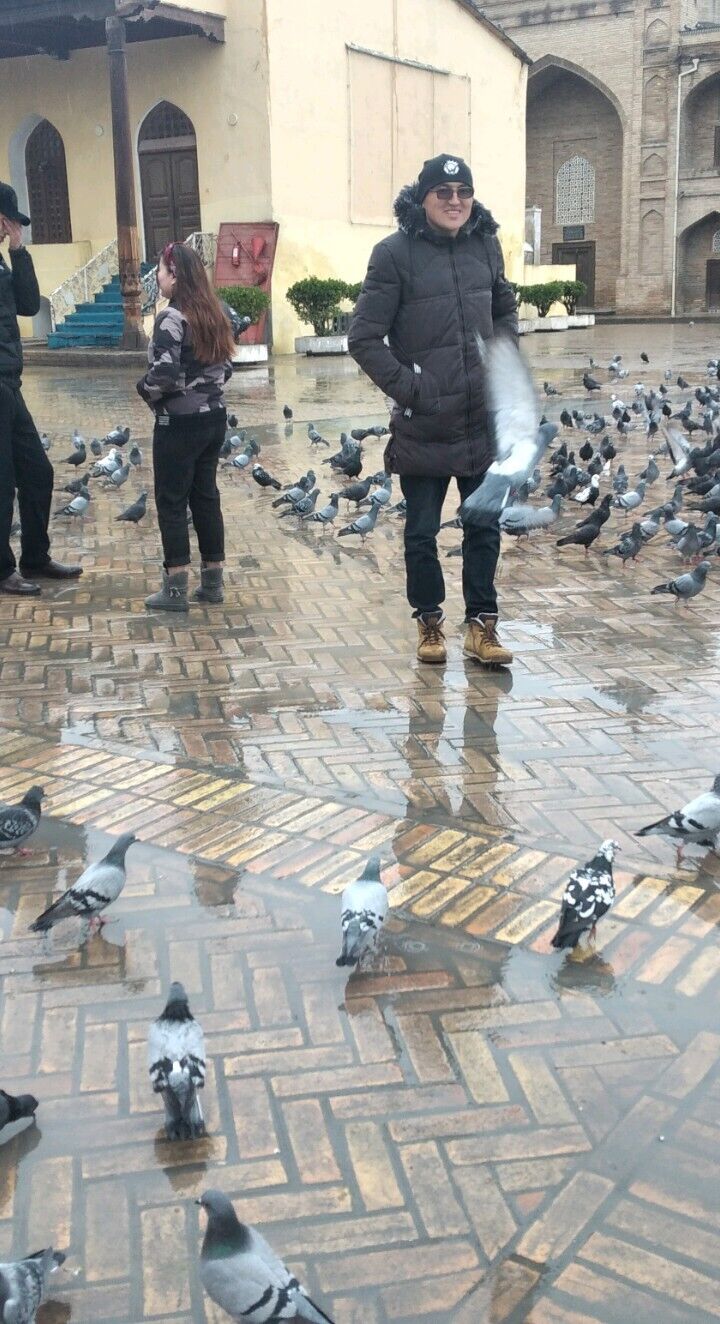 ���� 26010542 ������� ������, 34 ����, ���� ���������� � ������