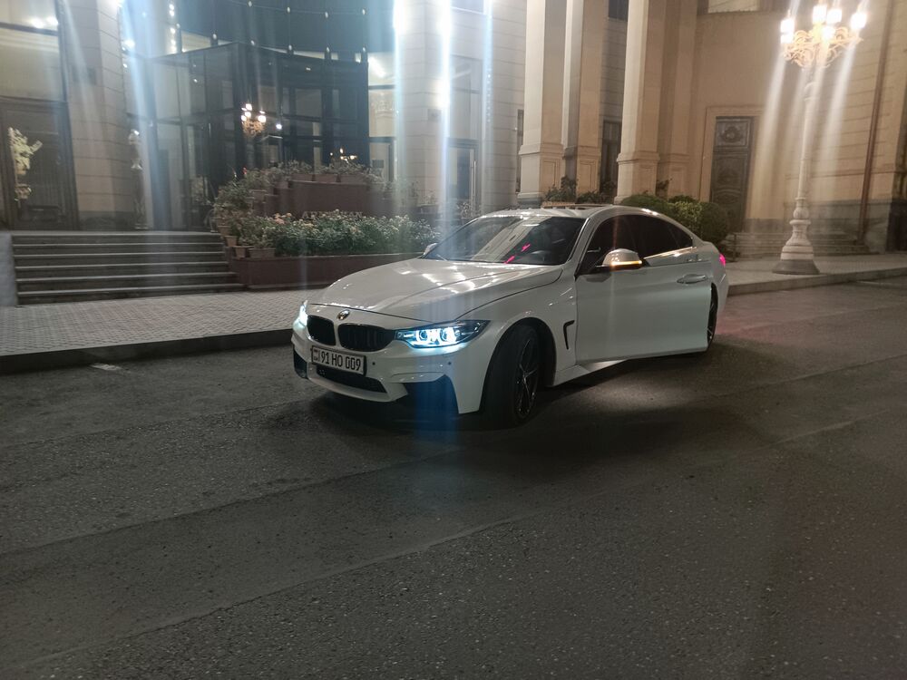  44996572  , 31 ,    