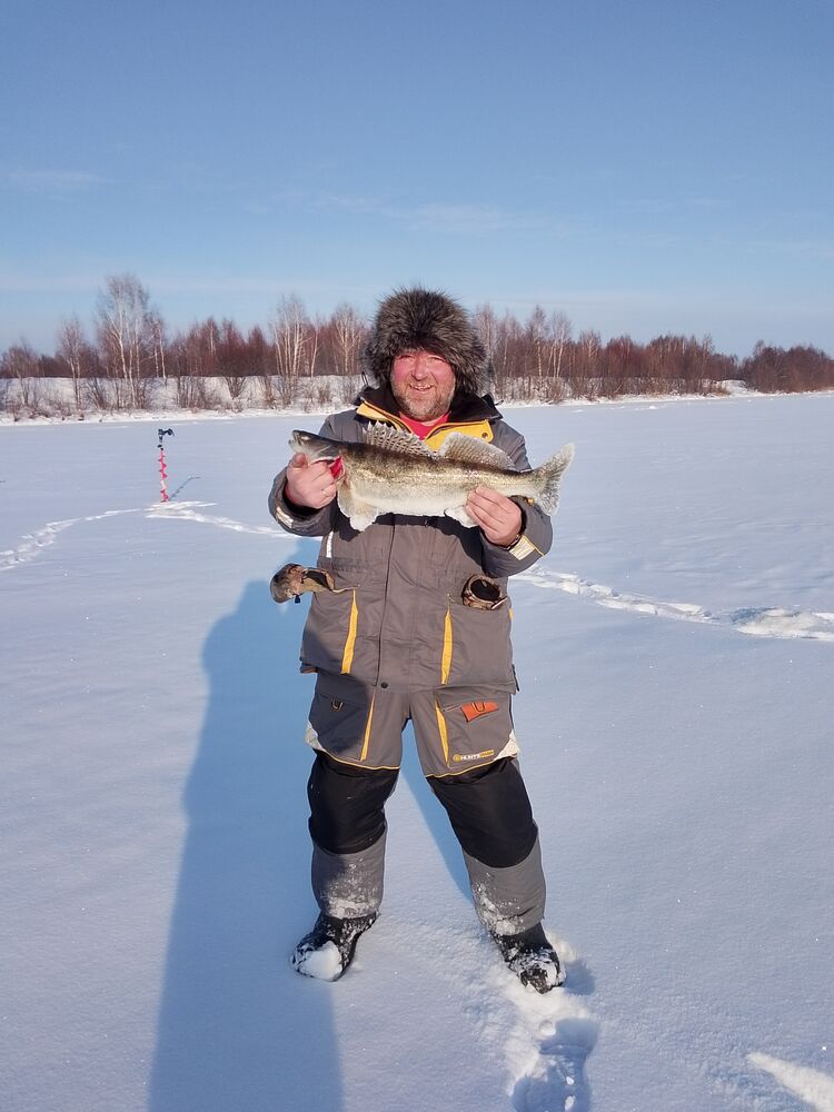 ���� 55817152 ������� �������, 49 ���, ���� ���������� � ������ ���������