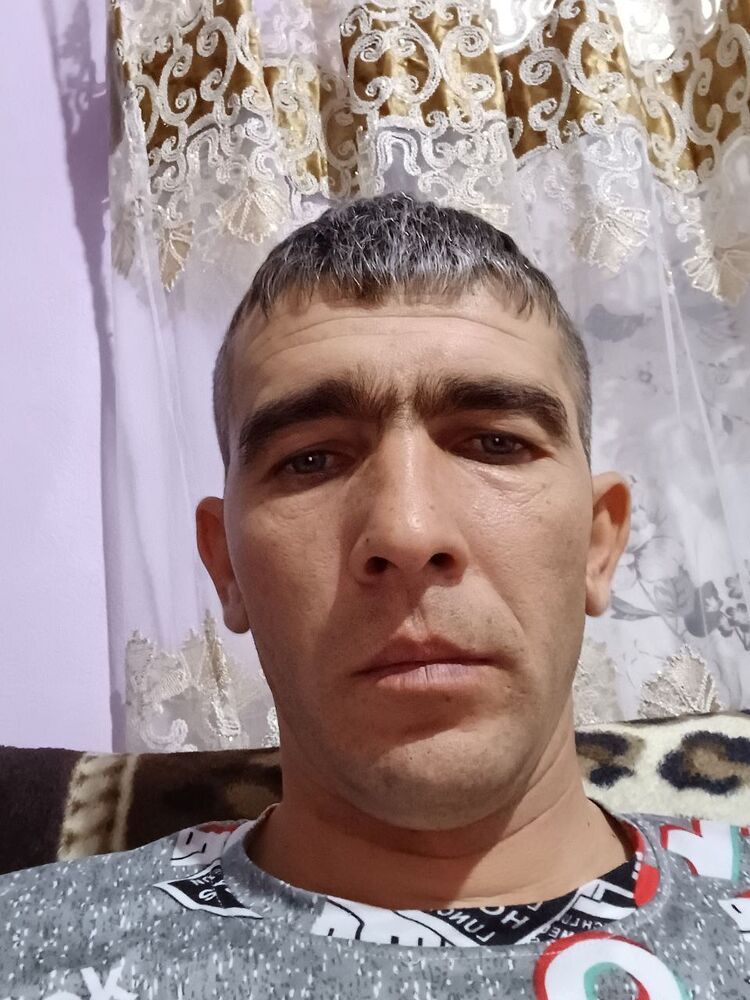  39974172  , 37 ,    