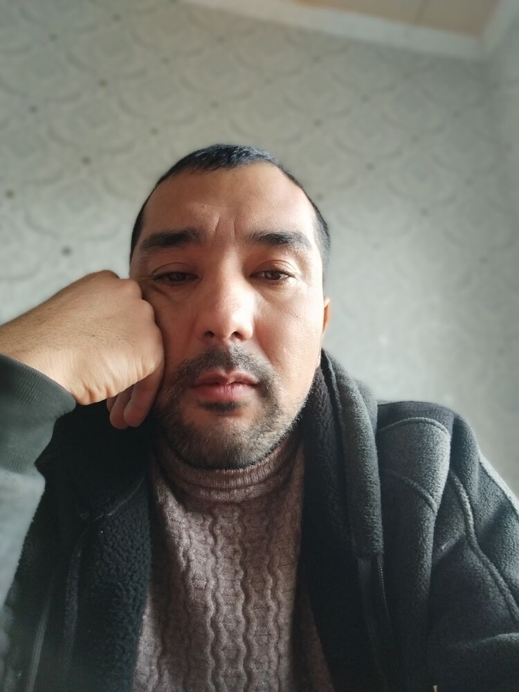  43683862  , 37 ,    