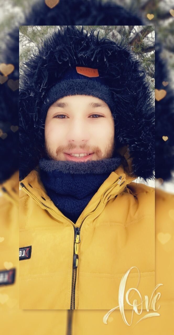 ���� 24203962 ����� Bull white, 24 ����, ���� ���������� � ������