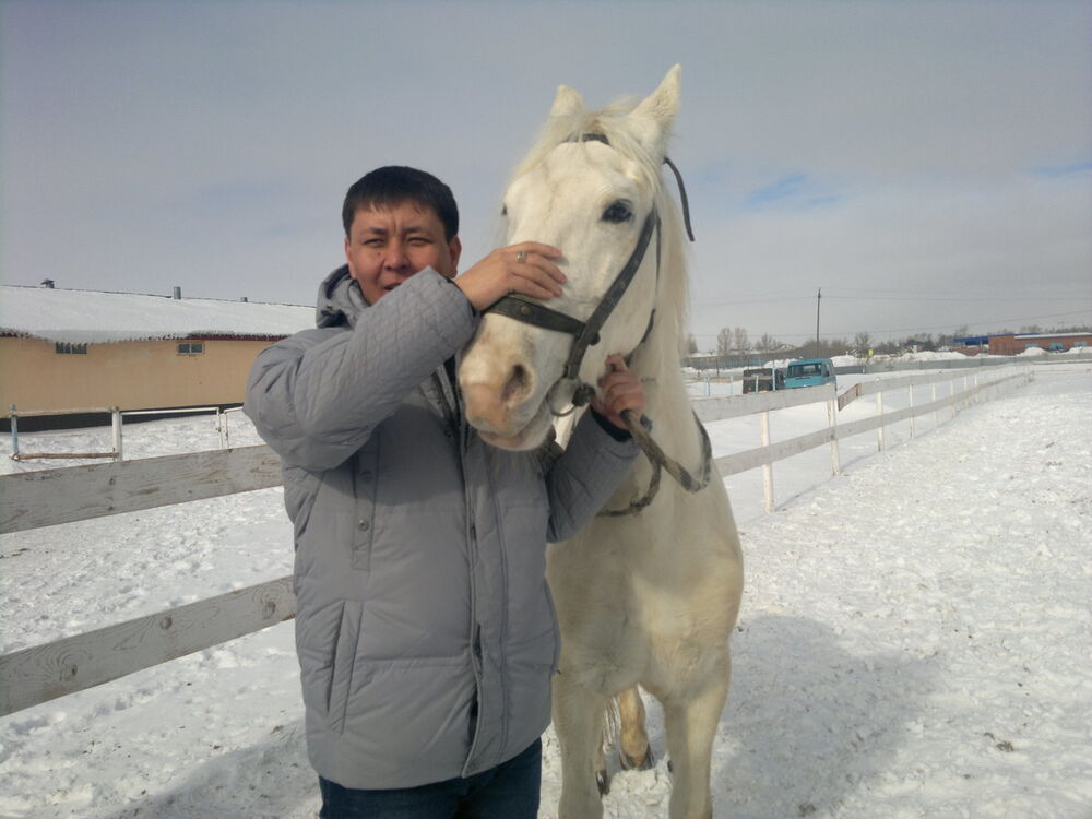 ���� 4445182 ������� �����, 38 ���, ���� ���������� � ������