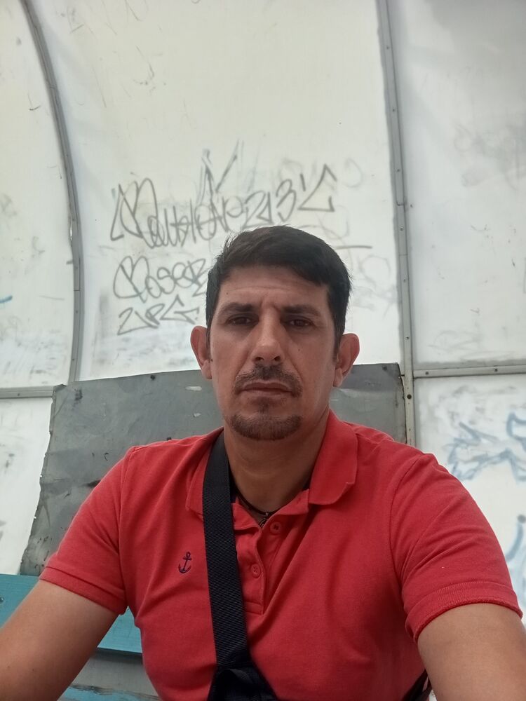  49788962  , 43 ,    