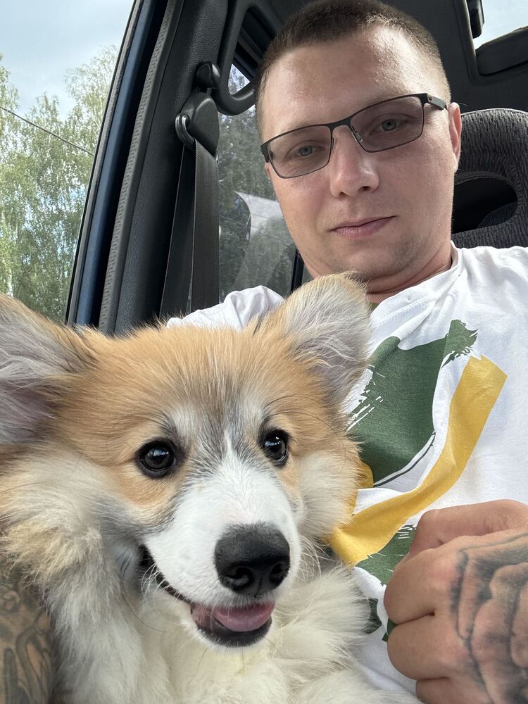 ���� 45875312 ������� �������, 33 ����, ���� ���������� � ������ ���������