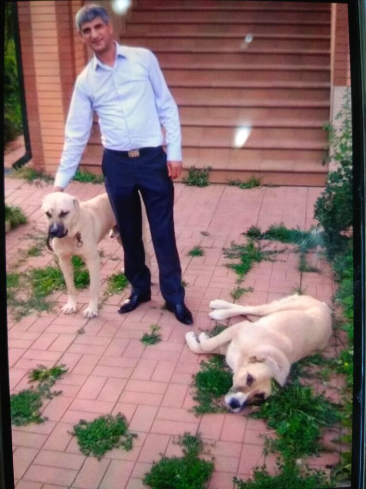 ���� 27874442 ������� �����, 54 ����, ���� ���������� � ������