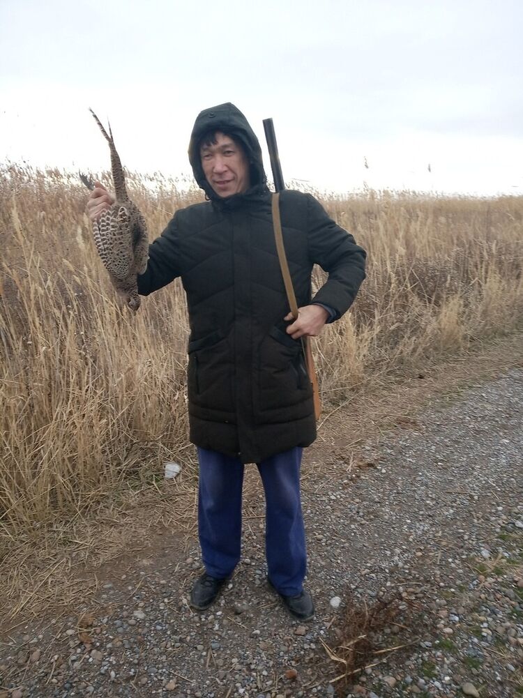  15205552  Nekas, 37 ,    