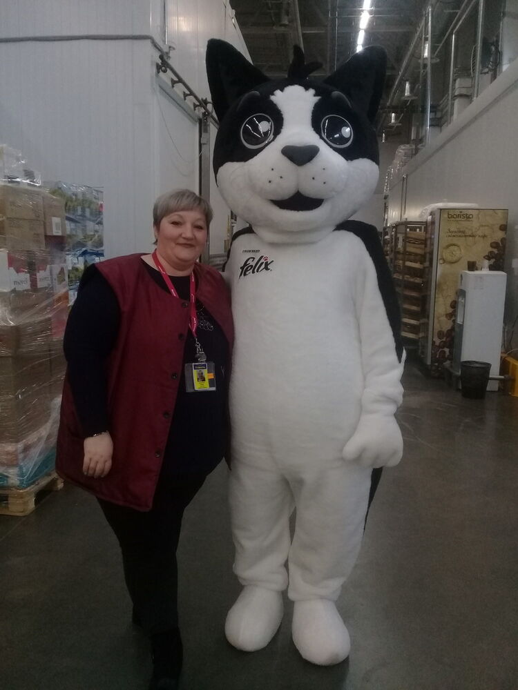 ���������� ������ ��������, ���� ������� ���, 45 ���, ������������ ��� ����� � ���������, c�������� ���������