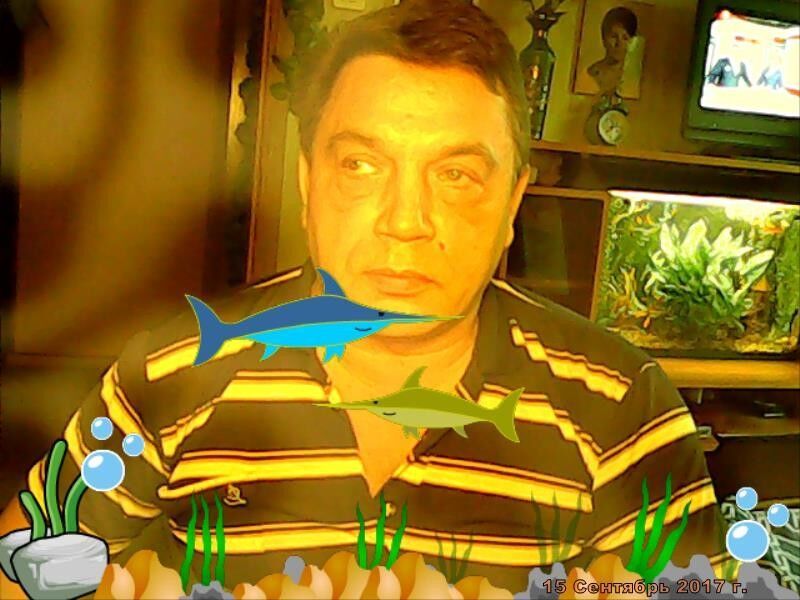  18995232  Sever Butovo, 62 ,    