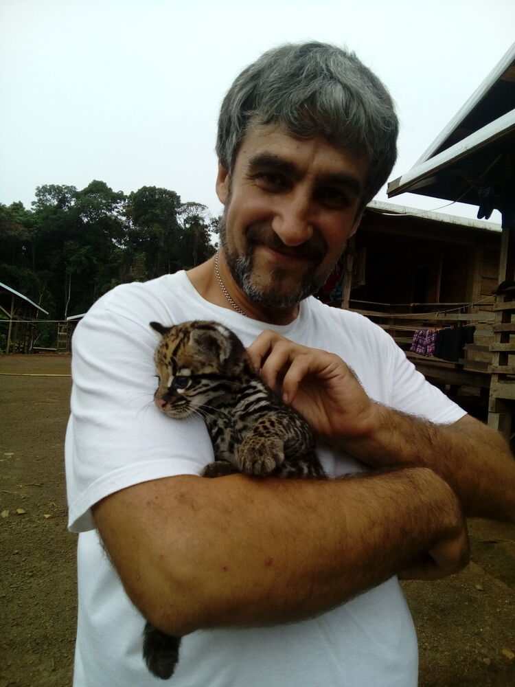 ���� 30296422 ������� ����, 56 ���, ���� ���������� � �������-��-����