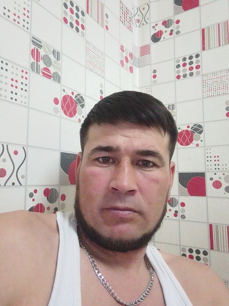  41912562  , 38 ,    