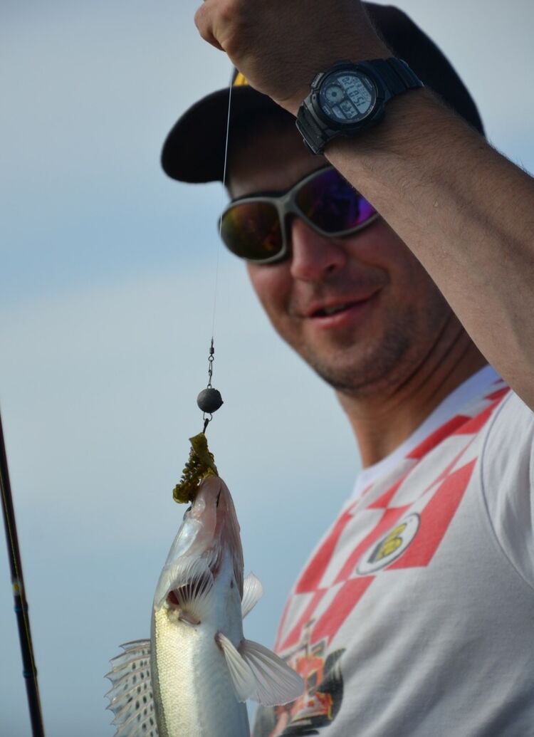 ���������� �����������, ���� ������� ����, 37 ���, ������������ ��� ������, ����� � ���������